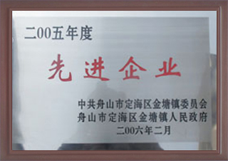 2005年度先進企業