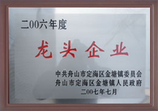 2006年度龍頭企業